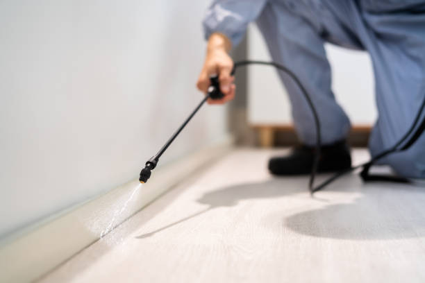 Bed Bug Pre-Treatment Preparation Assessment in Okolona