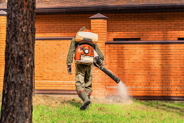 Bed Bug Clearance Verification and Documentation in Okolona